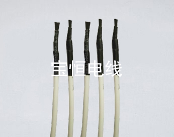 和布克赛尔负离子发射头